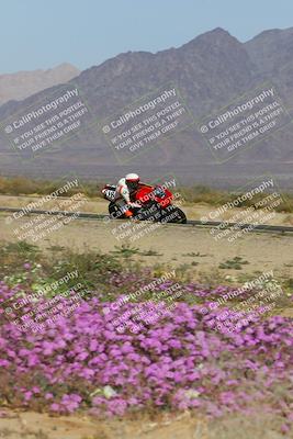 media/Feb-04-2023-SoCal Trackdays (Sat) [[8a776bf2c3]]/Turn 15 Inside Blooming (1050am)/